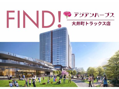 アジアンハーブス 大井町トラックスの写真