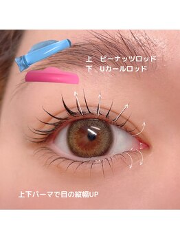 シャルム(CHARME)/上下ラッシュリフト