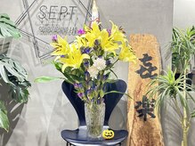 セプトきらく鍼灸整体院(Sept.)/ハロウィーーーんバージョン！