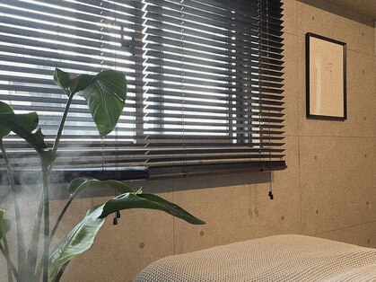 ジャスミー(jasmy)の写真