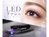 ＊7月8月キャンペーン＊【持続力1.5倍LEDフラットラッシュ120本】￥9,020→