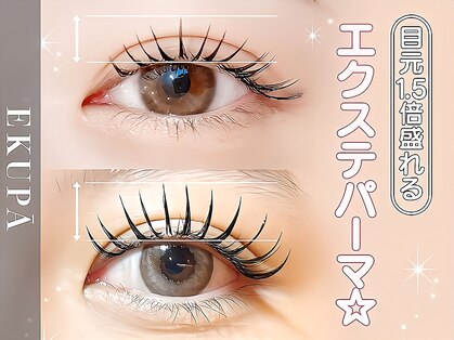 トップ(TOP)の写真