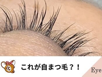 バンビちゃんのお目目 辻堂本店/これが自まつ毛？！[辻堂駅]