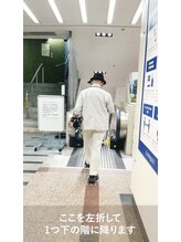 パウワウ 新宿サブナード店(POWWOW)/JR新宿駅からの道案内【11】