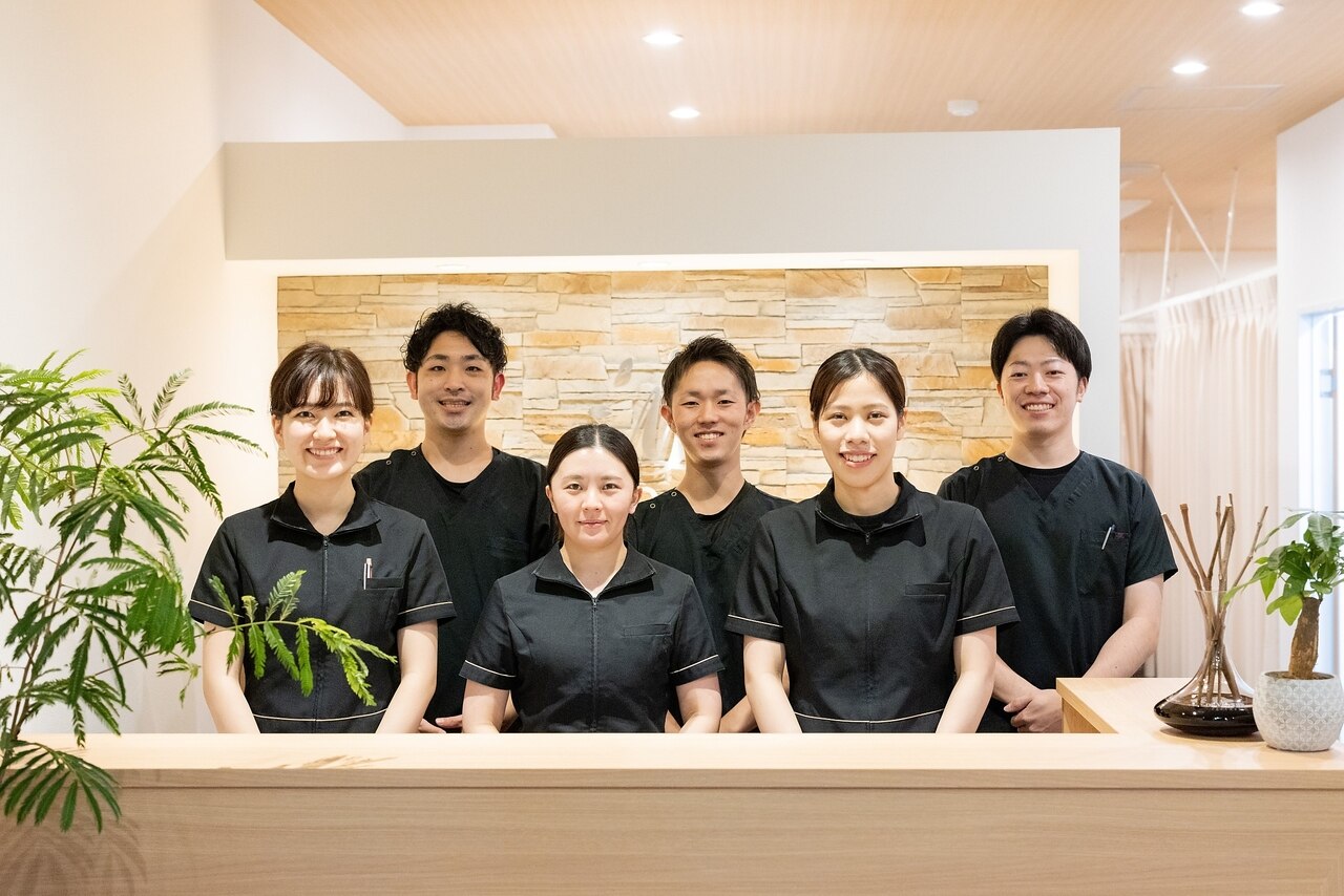 全国発送可ビューティーモア メドマー 整骨院 接骨院 エステ