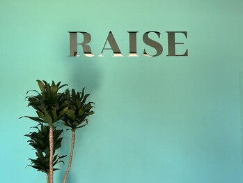 レイズ(RAISE)/入り口はターコイズブルー