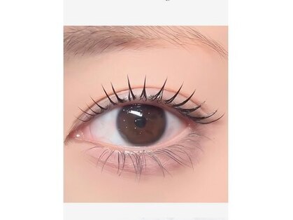 アーラ(ala)の写真