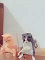 バフスタイル(buff style)/スタッフ一同