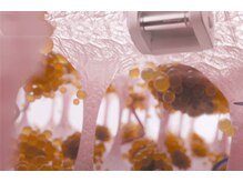 アンスリール(un sourire)/エンダモロジー