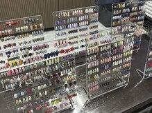 カメレオン(chameleon)