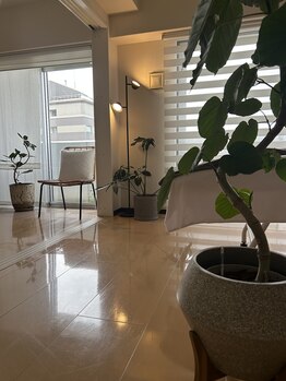 オーク(o.a.k)/グリーンに囲まれたサロン