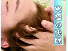 イルカの羽