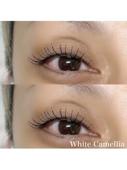 ホワイトカメリア 上本町店(White Camellia)/マツエクサロン/フラット