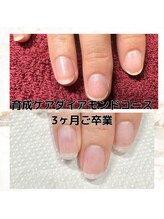 カンパニュラ(Campanula)/ダイアモンドコースご卒業