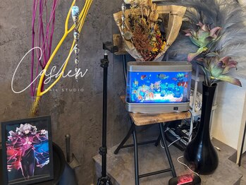 カシュー(Cashew)/内装