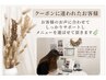 《クーポンに迷われた方☆》あなたに合ったクーポンメニューをご提案します♪