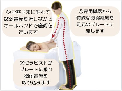 ノエル(1010-Noel)の写真