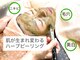エスポリー(ESPORY)の写真