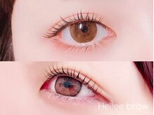 ヘイリーブロウ 所沢店