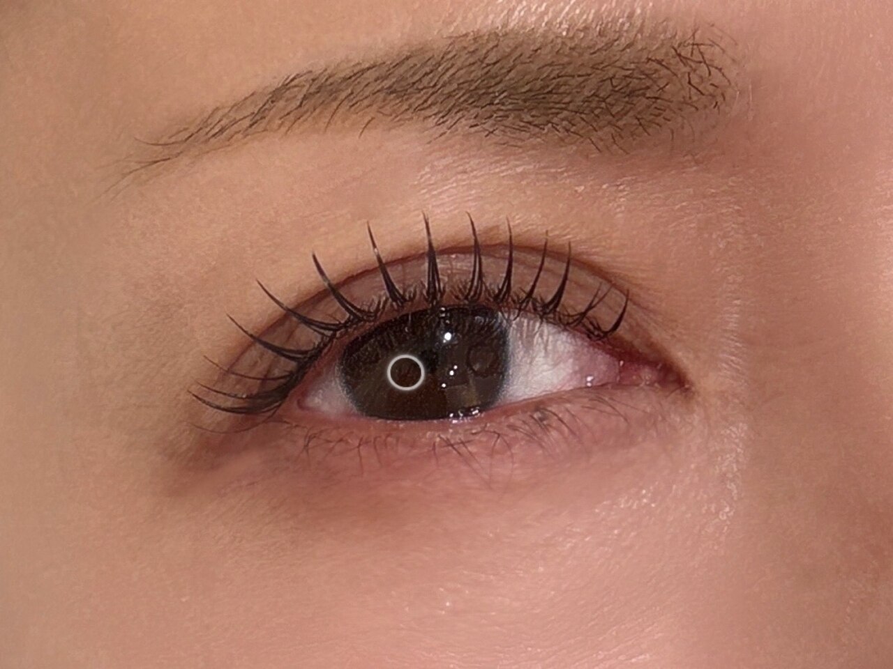 ハチハチ アイラッシュ(88 eyelash)｜ホットペッパービューティー