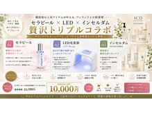 ノエル(Noel)