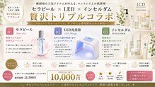 ノエル(Noel)