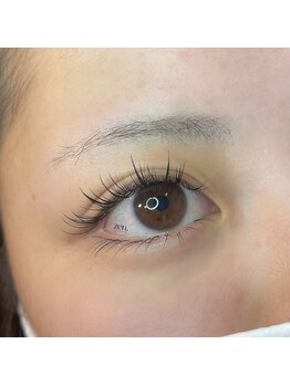 ゼン(zen.)/ワンホンマツエク50束/上下set