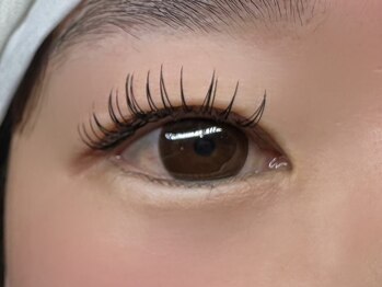 フリー#240(Free#240)/フラットラッシュ140本