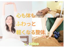 プラスニコ(+nico)