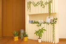 ココチ ド ソレイユ(cocochi de SOLEIL)