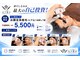 モア男子(MORE男子)の写真