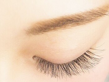 ムーン(Moon)/LEDフラットラッシュ/マツエク