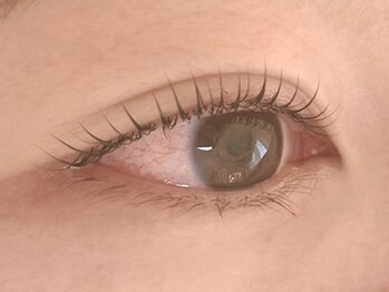 ランド(LAND)/ラッシュリフト