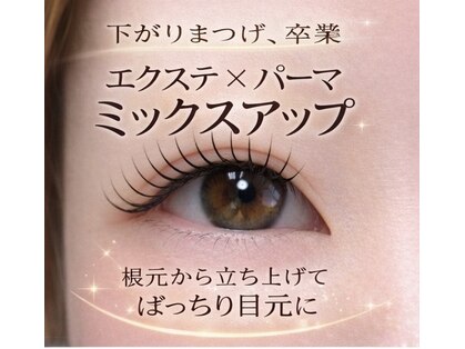 オマロ(Omalo.)の写真