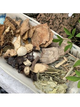 ファンディー(fan-dii)/rammuu タイハーブ