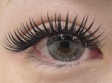 アトリエ ボノ(BONO)/メガフラットラッシュ 120束