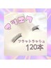 1カ月以内【大人気！フラットラッシュ】（上）120本/8210円