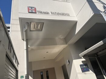 ナツインパウズ(Natwinpaws)/入り口注意