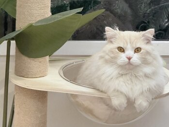 ネイルフォーユー 新宿西口店(NFY.Nail For You)/