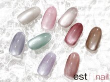 エストラッシュアンドネイル 銀座店(est lash&nail)/マグネットネイル