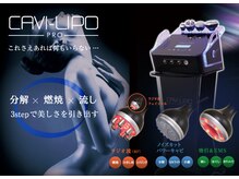 【痩身/小顔/毛穴/フェイシャルサロン】Dahlia Beauty【ダリアビューティー】春日井の雰囲気(当店大人気キャビテーションで本格痩身★1部位¥2500~ご用意!)