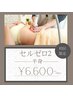 【お腹/背中/腰回り/二の腕】大人気最新機器セルゼロ2☆上半身60分6600円☆