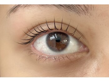 アイビーラッシュ(Eye'llbe lash)/ラッシュリフト