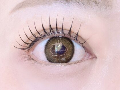 ミルキーアイラッシュ(Milky)の写真