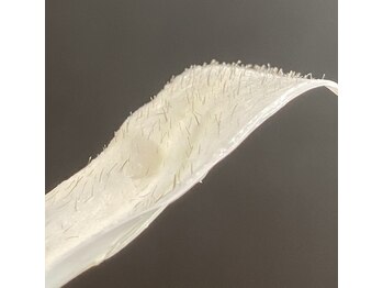 トイロ(toiro)/フェイシャルWax脱毛