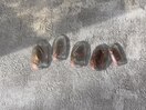定額Bトレンドアートコース