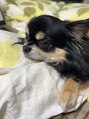ビタミンエー 新宿(vitamin-A) 愛犬、こたろうさんにはいつも癒されております。感謝!