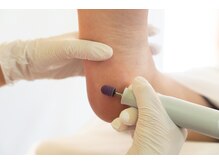 季節に応じて正面の窓から見える景色が変わります。