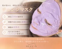 シーズン 岡崎