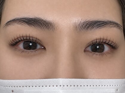 ダイアリー(DIARY)の写真